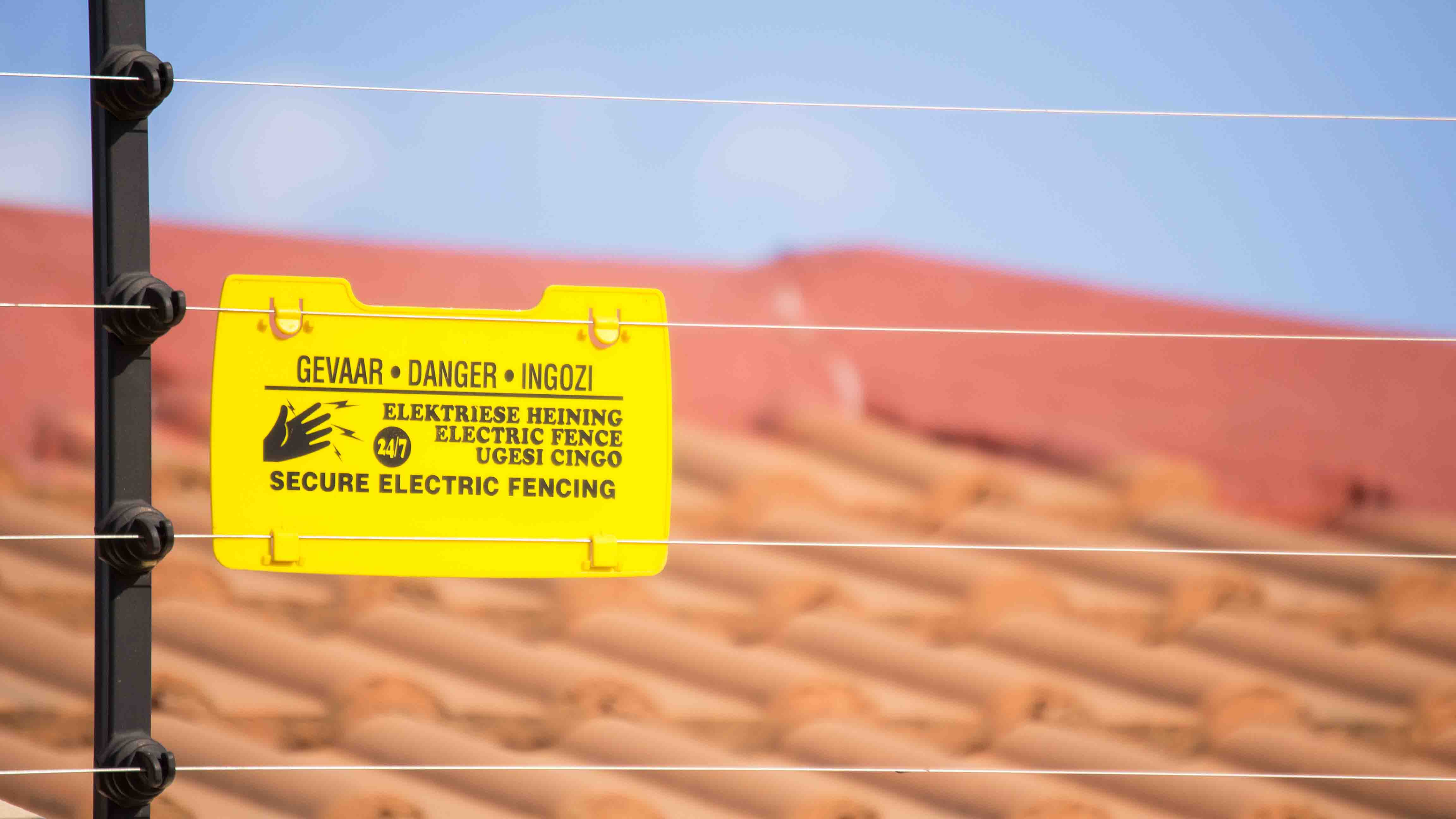elec fence (4)